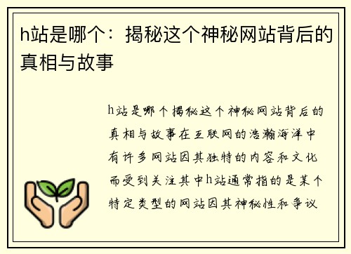 h站是哪个：揭秘这个神秘网站背后的真相与故事